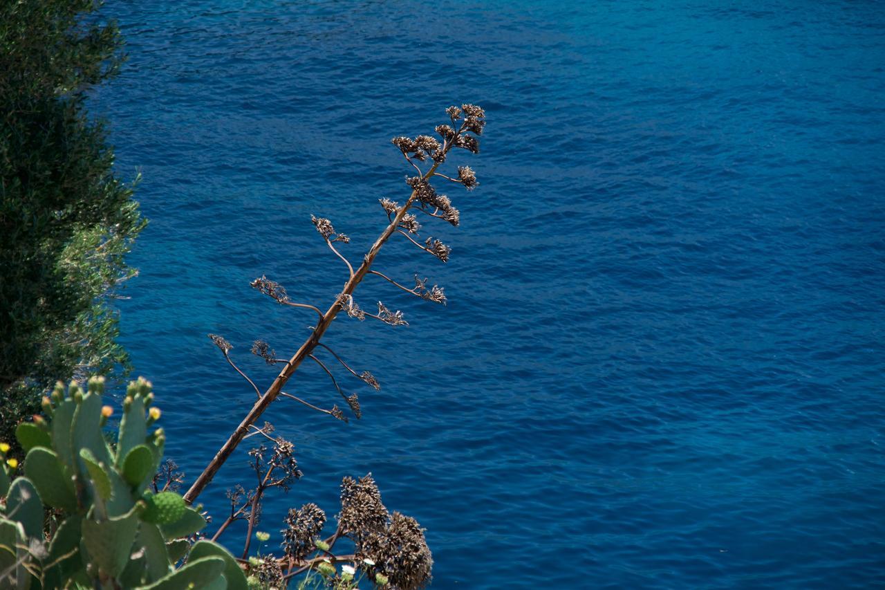 Villa Apoplous With Pool Asos Eksteriør billede